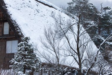 Shirakawago 'da kış, Japonya