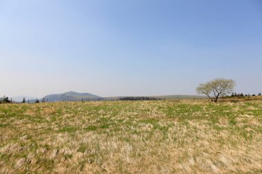 Dağları ve mavi gökyüzü olan güzel bir manzara.