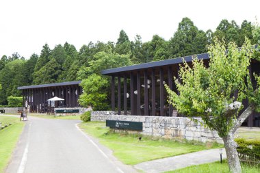 Çevresi yemyeşil ağaçlarla çevrili modern ahşap binalar.