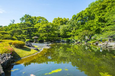 Yazın nehir manzarası