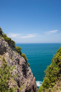 Yeşil ağaçlı kayalık deniz manzarası