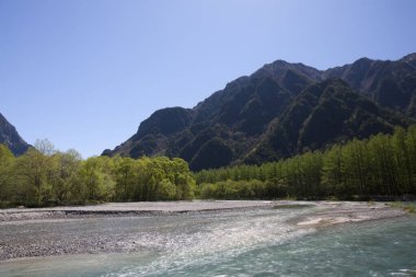 Japonya 'daki dağ nehrinin güzel manzarası