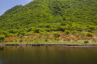 Arka planda dağ ve göl olan güzel bir manzara.