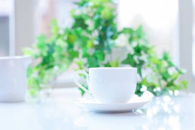 yeşil bitkinin önündeki masada beyaz kahve fincanı. 