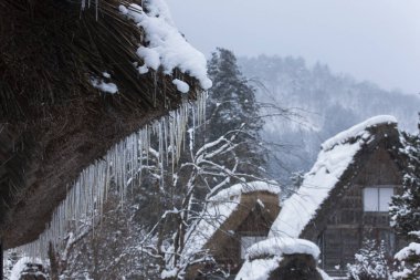 Shirakawago 'nun Japonya' daki kış sezonundaki güzel manzarası. unesco Dünya Mirası