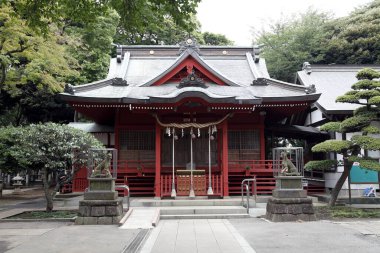 Japonya 'daki Japon tapınağının tarihi manzarası.