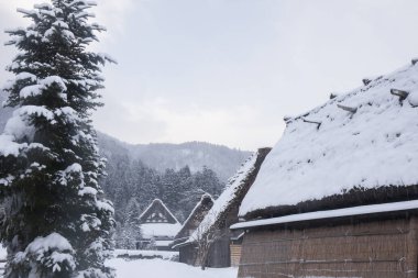 Shirakawago 'nun Japonya' daki kış sezonundaki güzel manzarası. unesco Dünya Mirası