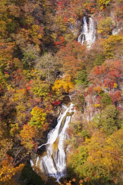Japonya 'da güzel bir sonbahar şelalesi