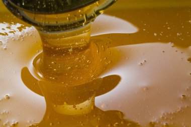 Balın yakın görüntüsü. Makro fotoğrafçılık