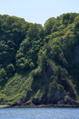 Yeşil dağlı deniz kıyısı 
