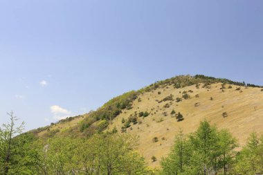 Yamaçta yeşil ağaçlar ve mavi gökyüzü olan güzel bir manzara. 