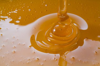 Balın yakın görüntüsü. Makro fotoğrafçılık