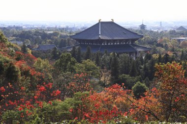 Güzel antik Japon tapınağının manzaralı görüntüsü.