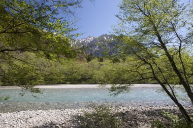 Japonya 'daki dağ nehrinin güzel manzarası