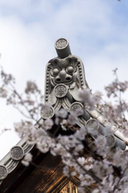 Baharda Sakura 'lı Japon tapınağı manzarası