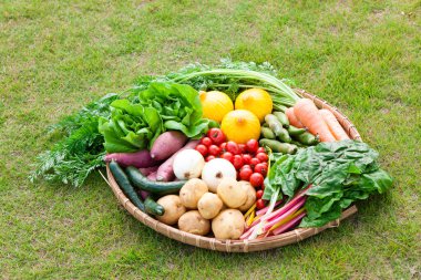 Çimlerin üzerinde taze sebzeler.