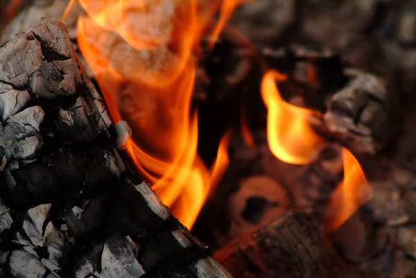 Burning Coal Closeup Shot Natural Background — Stock Photo, Image