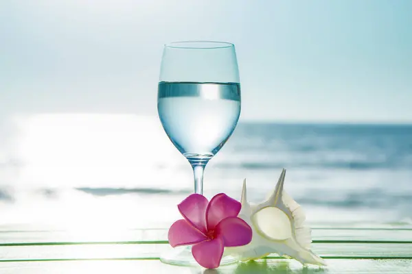 Fundo Verão Com Plumeria Flor Concha Vinho Com Água Praia — Fotografia de Stock