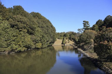 Japonya 'daki nehir ve ağaçlar doğa arka planında
