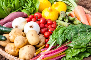 Bahçede taze sebzeler.