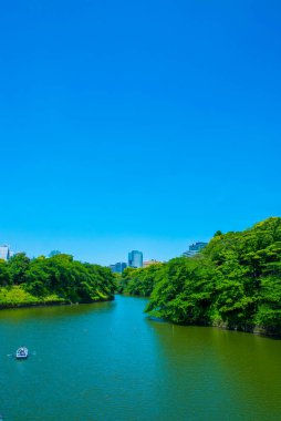 Yazın nehir manzarası