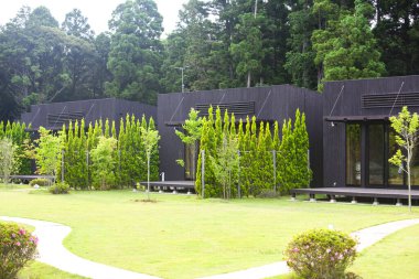 Yeşil çimenli modern yazlık evler 