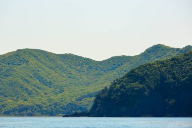 Yeşil dağları olan deniz kıyısı 