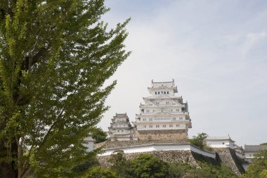 Himeji Kalesi, Japonların dünya mirası alanlarından biri.