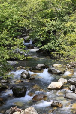 Kayalarla dolu güzel bir dere manzarası.