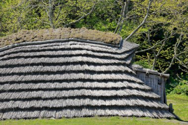 Jomon Dönemi 'nin Ofune Sitesi, bir dizi büyük kabuk atığından oluşan bir arkeolojik alan ve Jomon döneminden kalma bitişik bir yerleşim yerinin kalıntılarından oluşuyor. Japonya 'nın Hokkaido adasında, Oshima ilinin Hakodate ilçesinde yer alır.