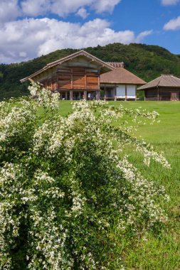 Bahçedeki çiçeklerin güzel manzarası 