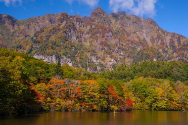 Gölü sonbahar manzarası, parlak ağaçlar ve dağlar. 