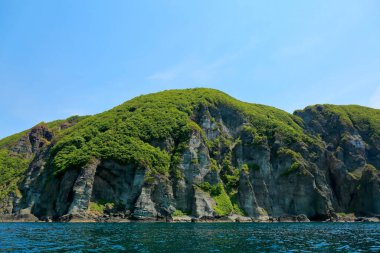Deniz kıyısındaki güzel yeşil tepelerin manzarası