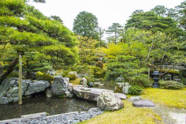 Parkta göleti olan Japon bahçesi. 