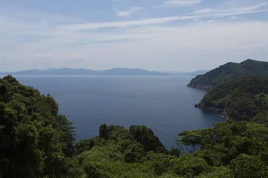 Orman körfezi ve uzak dağları olan güzel bir kıyı manzarası.