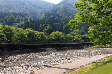 Yeşil ormandaki dağ nehri üzerindeki güzel köprü manzarası