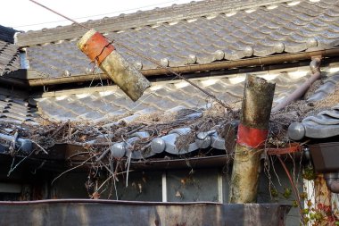 Geleneksel fayansların üzerinde asılı yıpranmış bambu direkleri