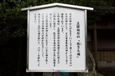 Parktaki Çince sembollü isim levhasının görüntüsü