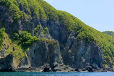 Deniz kıyısındaki güzel yeşil tepelerin manzarası