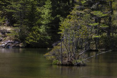 Japonya 'daki dağ nehrinin güzel manzarası