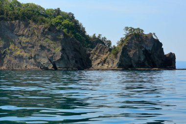 Yeşil dağlı deniz kıyısı 