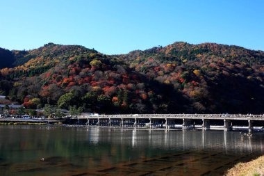 Renkli ağaçlar, nehir ve köprüyle sonbahar manzarası 