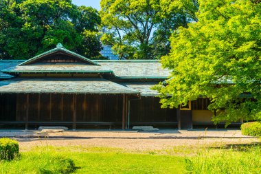 Güzel Japon tapınağı, Budizm konsepti
