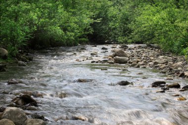 Kayalarla dolu güzel bir dere manzarası.