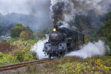 Sunlight catches the steel of the train's powerful engine as it runs through the city.	