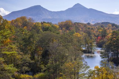 beautiful view of autumn forest and river