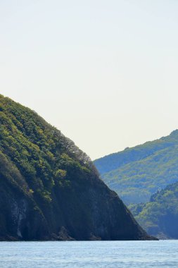 Yeşil dağları olan deniz kıyısı 