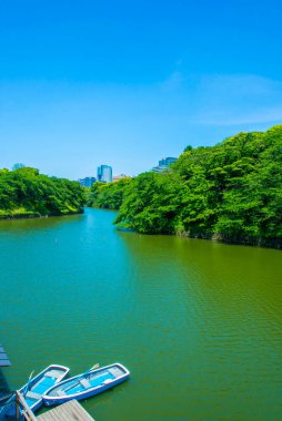 Parktaki ve kentsel kentteki güzel göl manzarası    