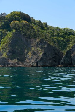 Yeşil dağlı deniz kıyısı 