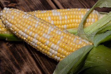 Tahta arka planda taze mısır koçanları